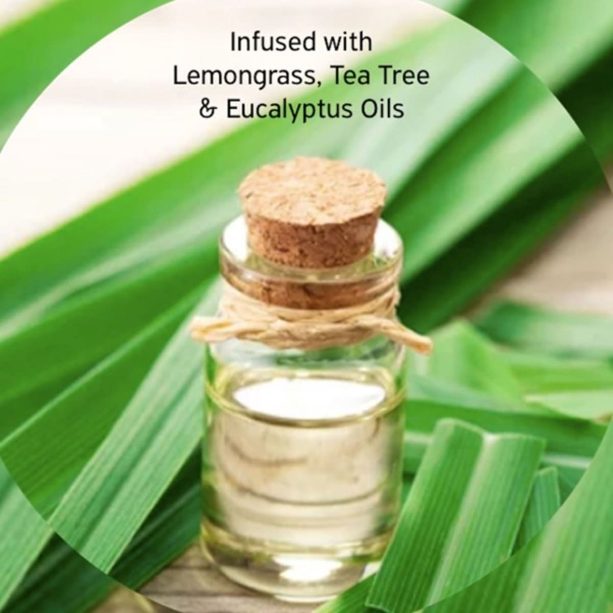 Lemongrass & Tea Tree ingredients image - resized for web