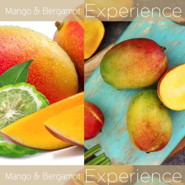 mango & berg image